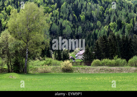 Wiese, Wald und Häuschen im Frühling Stock Photo