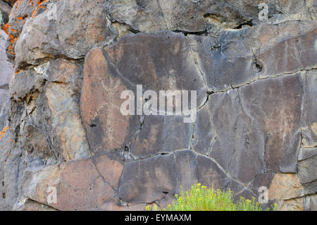 Petroglyphs, Abert Rim Wilderness Study Area, Lakeview District Bureau of Land Management, Oregon Stock Photo