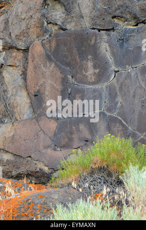 Petroglyphs, Abert Rim Wilderness Study Area, Lakeview District Bureau of Land Management, Oregon Stock Photo