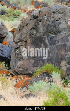 Petroglyphs, Abert Rim Wilderness Study Area, Lakeview District Bureau of Land Management, Oregon Stock Photo