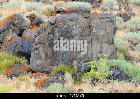 Petroglyphs, Abert Rim Wilderness Study Area, Lakeview District Bureau of Land Management, Oregon Stock Photo