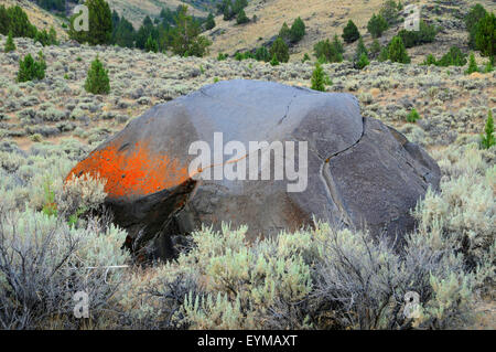 Petroglyphs, Abert Rim Wilderness Study Area, Lakeview District Bureau of Land Management, Oregon Stock Photo