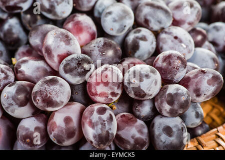 Freshly harvested red grapes macro close up Stock Photo