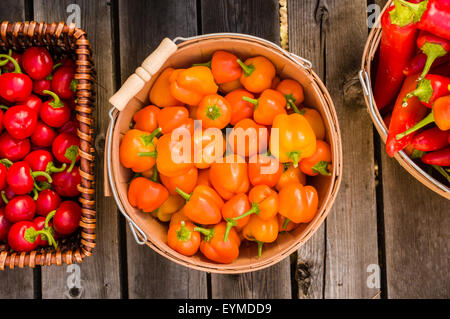 Red and orange hot peppers in wicker or wooden baskets Stock Photo