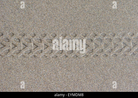 Bicycle tire tread marks in wet sand at the beach Stock Photo