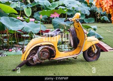 Bar garden near West lake in Hanoi, Vietnam on July 25, 2015 Stock Photo