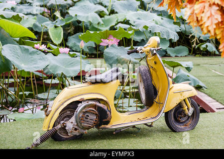 Bar garden near West lake in Hanoi, Vietnam on July 25, 2015 Stock Photo