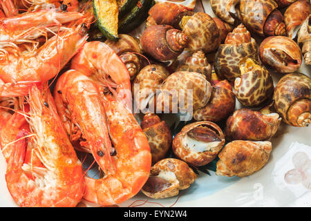 Shrimps and spotted babylon on white plate Stock Photo