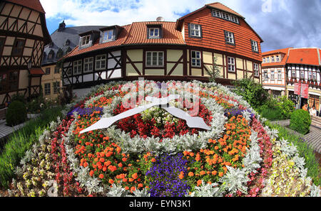 A flower clock in Wernigerode, Germany, taken on 30 July 2015. The town, also known as the 'Colourful town in the Harz' is home to approximately 33,500 people and attracts a large amount of tourists every holiday season. Photo: Jens Wolf/dpa Stock Photo