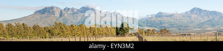 Panorama of the Helderberg (Clear Mountain) and Hottentos-Holland Mountains as seen from a farm near Sir Lowrys Pass Stock Photo