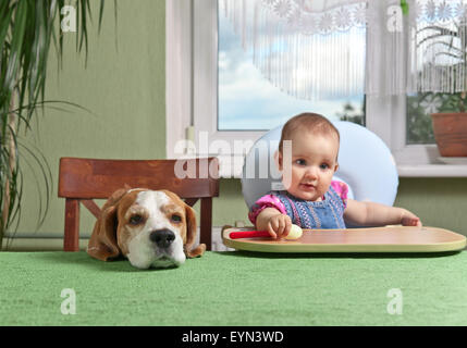 little girl with dog waiting for dinner, focus on a dog head Stock Photo