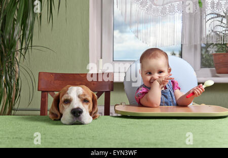 little girl with a dog waiting for dinner Stock Photo