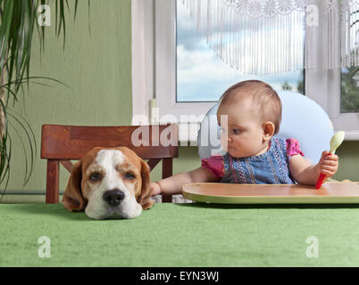 little girl with a dog waiting for dinner Stock Photo