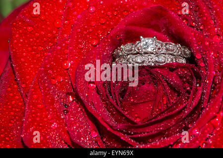 Wedding Ring and Red Roses Stock Photo