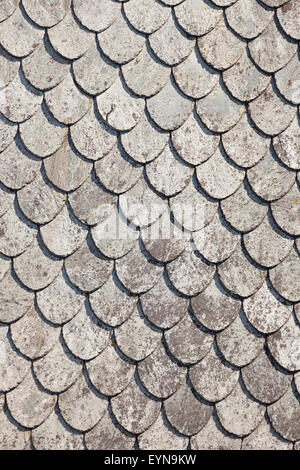Close up detail of the abstract patterns made by old grey roof tiles. Stock Photo