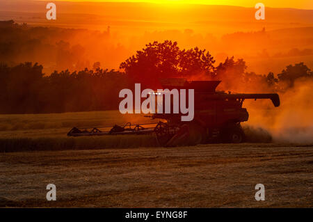 A combine harvests grain near sunset in the Palouse region of Washington Stock Photo