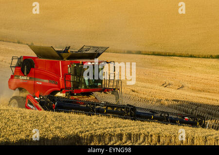 Case combine harvests grain on the hills of the Palouse region of Washington Stock Photo