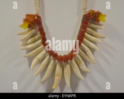 Amazonian tribal necklace made of Jaguar teeth and Macaw feathers Stock Photo