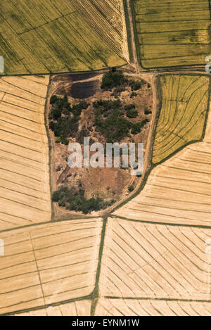 Typical irrigation plans in fields near San Jose, Costa Rica Stock Photo