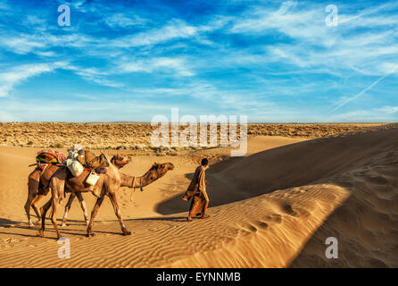 Cameleer camel driver with camels in dunes of Thar desert Stock Photo