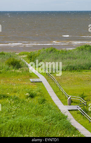 Overlook on seaward wooden boardwalk, vertical view from watch tower Stock Photo