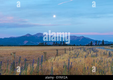 Golden sunset over Canterbury Hills and farmlands, South Island, New Zealand Stock Photo