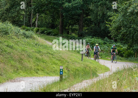 Three Cyclists riding on their mountain bikes on a trail at Go Ape activity centre cannock chase Staffordshire West Midlands Stock Photo