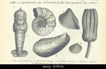 Image taken from page 266 of '[Advanced Text-book of Geology Stock Photo