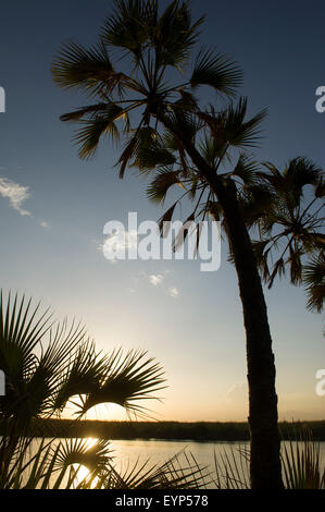 Sunset over Doho Hot Springs, Awash National Park, Ethiopia Stock Photo ...