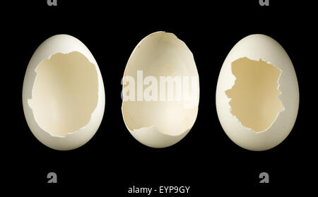 Template image of three open empty eggs, good for photoshopping babies or any objects in it Stock Photo