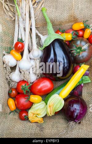 Freshly harvested various summer vegetables, including tomatoes, onion, courgettes, aubergine and garlic. Stock Photo