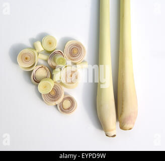 Zitronengras; Cymbopogon citratus, - Stock Photo