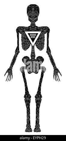 Abstract polygonal skeleton Stock Vector Image & Art - Alamy