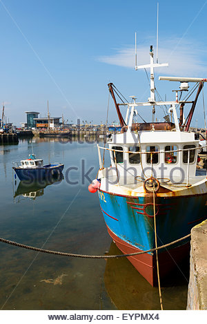 Brixham fishing fleet in harbour Stock Photo: 130780135 - Alamy