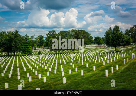 Rows of graves at the Arlington National Cemetery, in Arlington, Virginia. Stock Photo