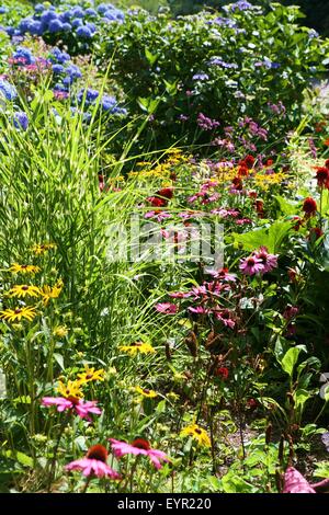 Trebah gardens Cornwall in August Stock Photo