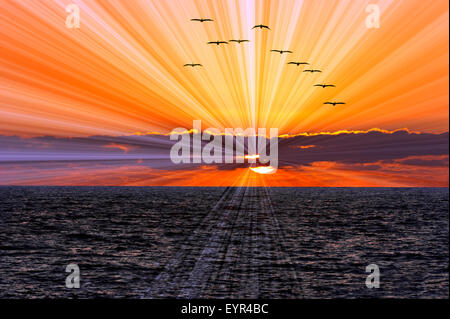 Ocean sunset sun rays is a flock of birds flying overhead while a brilliant bust of sun ray beams shoot of from behind the cloud Stock Photo
