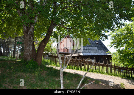 Bird house on broken tree in mountain village Stock Photo