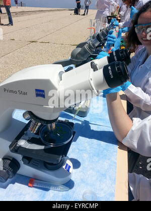 Optical microscope at a science fair. Photographed in Haifa, Israel Stock Photo