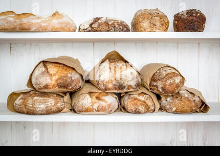 Various traditionally made sourdough breads in a bakery, Devon UK Stock Photo