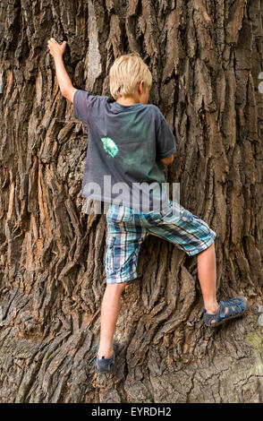 Child Boy Climbing Big Tree Stock Photo