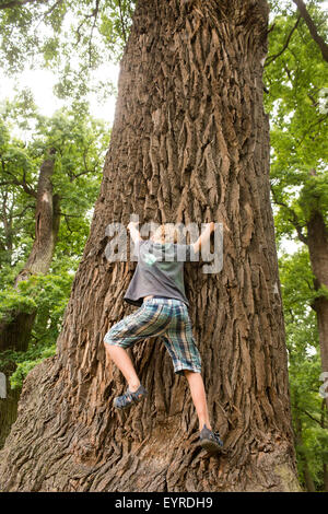 Child Boy Climbing Big Tree Stock Photo