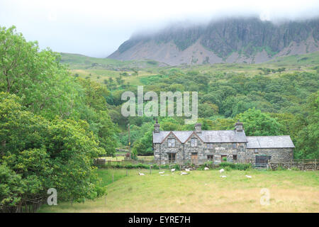 Ty-Nant farm, Cadair Idris, Gwynedd, Wales the farmhouse lies at the start of the Pony Path track at foot of Cader Idris July UK Stock Photo