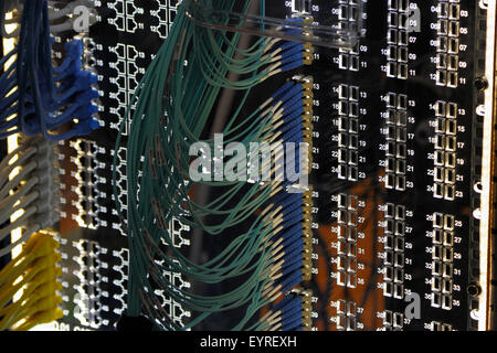 Networking patch panel with ethernet and fiber optic cables. Stock Photo