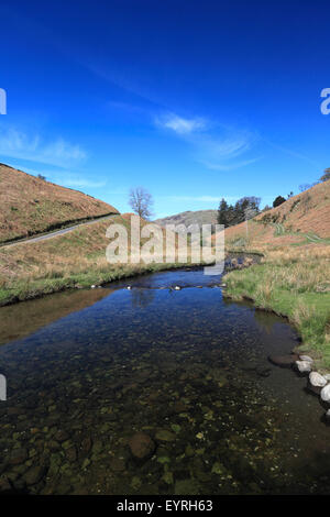 Howegrain Beck, Martindale valley, Lake District National Park, Cumbria County, England, UK. Stock Photo