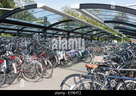 Bicycle shelter in a big Dutch city Stock Photo