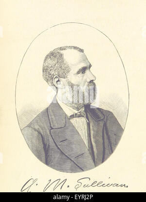 The Story of Ireland; a narrative of Irish history, from the earliest ages to the insurrection of 1867 ... Continued to the present time by J. Luby, etc Image taken from page 8 of 'The Story of Ireland; Stock Photo