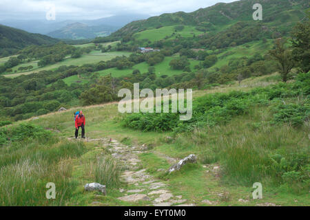 Cadair Idris, Gwynedd, Wales a male walker climbs up the Pony Path with Snowdonia National Park in background July 2015 Stock Photo