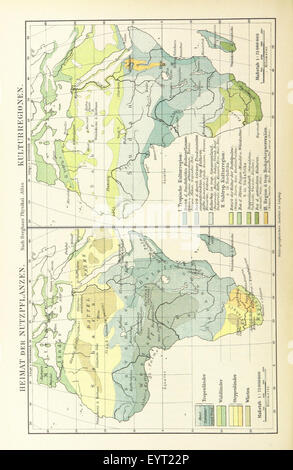 Afrika. Eine allgemeine Landeskunde, etc Image taken from page 244 of 'Afrika Eine allgemeine Landeskunde, Stock Photo