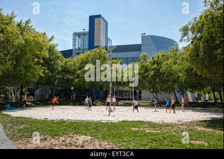 MOUNTAIN VIEW, CA - AUGUST 1, 2015: Google employees play volleyball at Google headquarters in Mountain View, California on Augu Stock Photo